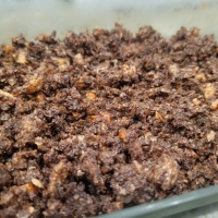 Low Carb Keto Approved Crunchy Chocolate Granola